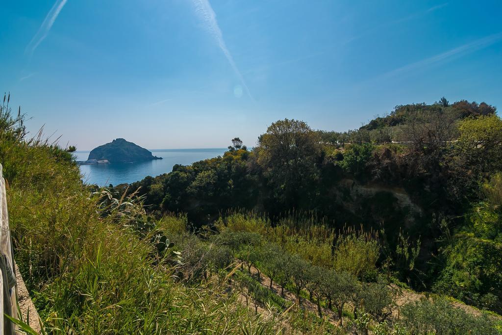 Hotel Villa Fumerie Forio di Ischia 외부 사진